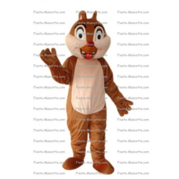 Buy cheap Squirrel ticking mascot costume.